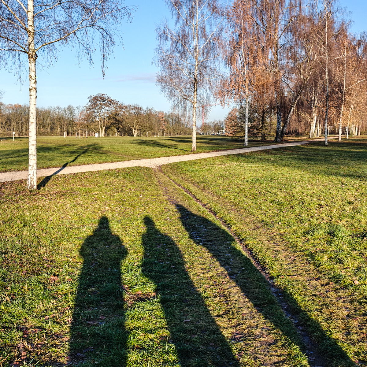 Winterliche Parklandschaft mit sich gabelndem Weg. Im Vordergrund die langen Schatten dreier Menschen, die gemeinsam in Richtung der Weggabelung blicken.